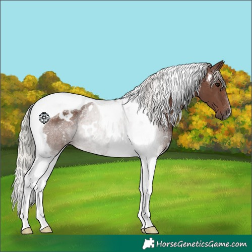 Horse Color:White Spotted Silver Black Tobiano 