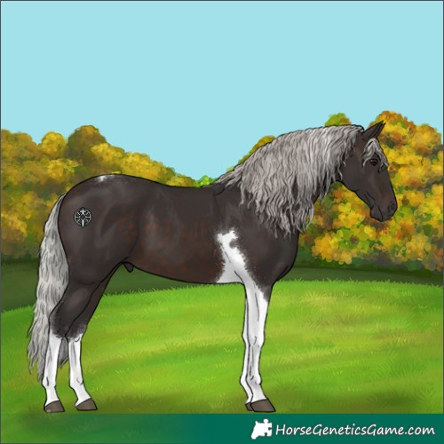Horse Color:Silver Brown Tobiano 