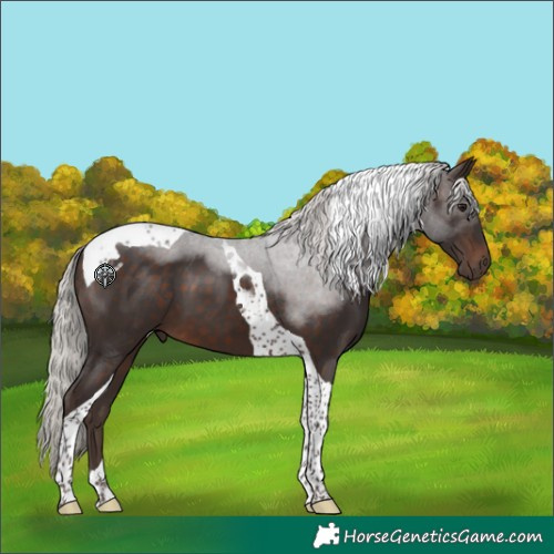 Horse Color:Silver Brown Tobiano