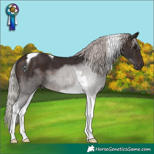 Horse Color:Silver Brown Tobiano