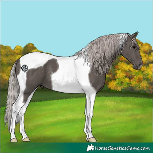 Horse Color:Silver Black Tobiano