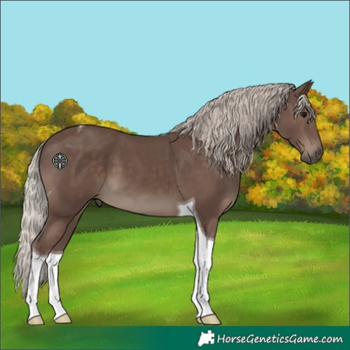 Horse Color:Silver Black Tobiano