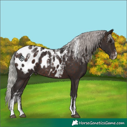 Horse Color:Powder White Silver Brown Appaloosa Rabicano 