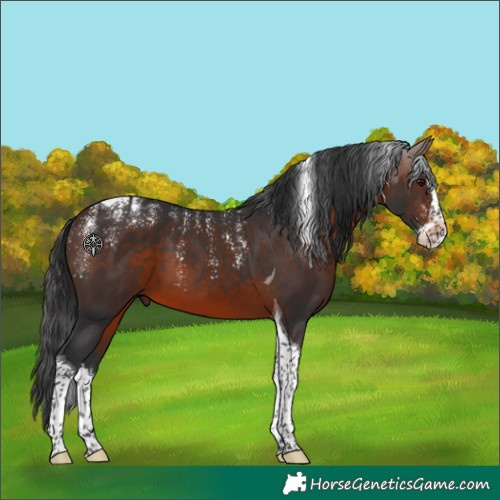 Horse Color:Powder White Brown Splash Tobiano