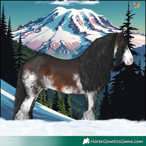 Horse Color:Brown Sabino 