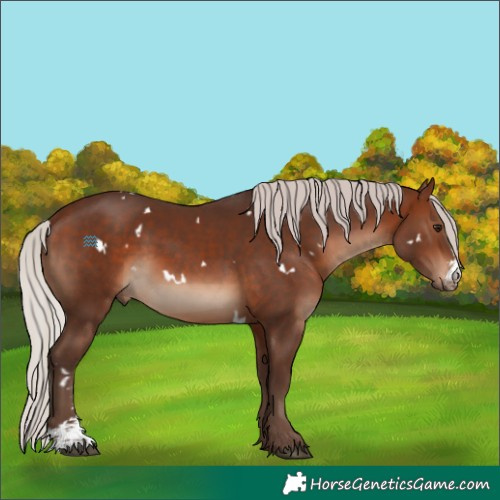 Horse Color:White Spotted Silver Brown Sabino