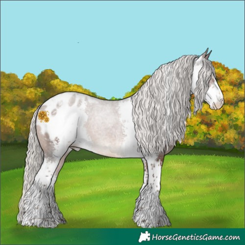 Horse Color:Silver Brown Sabino Blanket 