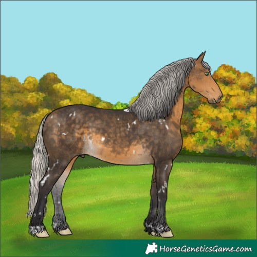 Horse Color:White Spotted Silver Buckskin 