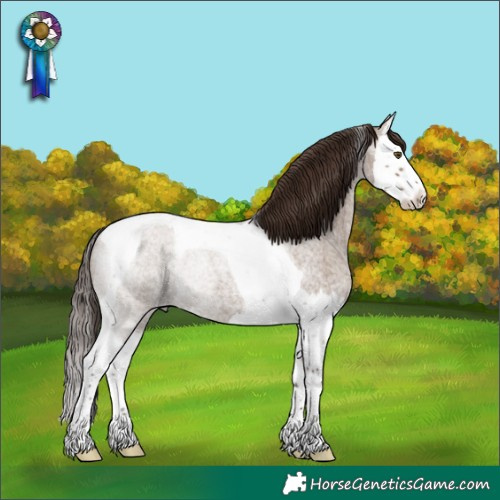 Horse Color:Liver Red Dun Roan Splash Tobiano Rabicano 