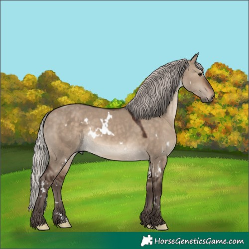 Horse Color:White Spotted Silver Brown Dun Rabicano