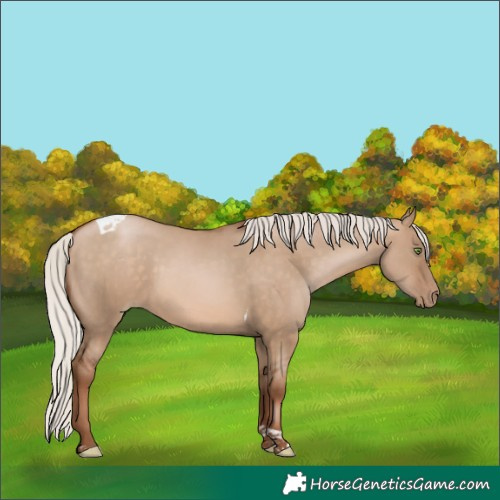 Horse Color:Silver Brown Pearl Dun Tobiano Rabicano