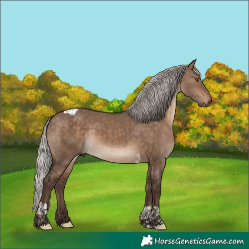 Horse Color:Silver Brown Dun Tobiano Rabicano 