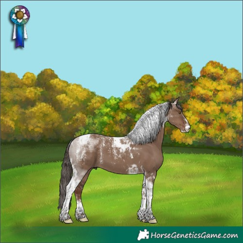 Horse Color:Powder White Liver Red Dun Tobiano