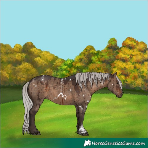 Horse Color:Powder White White Spotted Silver Brown Dun Brindle 