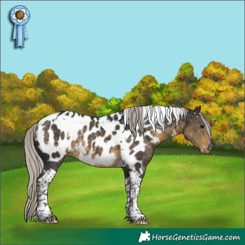 Horse Color:White Spotted Silver Smoky Black Tobiano Appaloosa