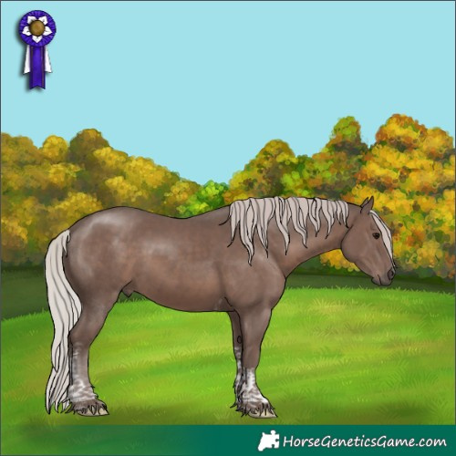 Horse Color:Silver Black Tobiano 