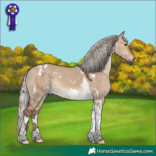 Horse Color:White Spotted Silver Bay Dun Tobiano 