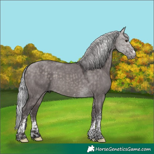 Horse Color:Platinum White Spotted Silver Brown Dun Tobiano