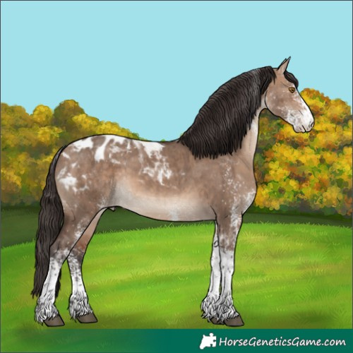 Horse Color:White Spotted Bay Dun Tobiano Appaloosa Brindle 