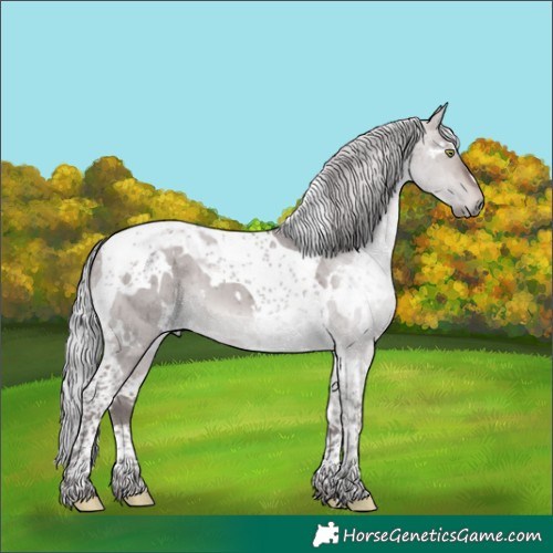 Horse Color:Platinum White Spotted Silver Bay Dun Tobiano Brindle 