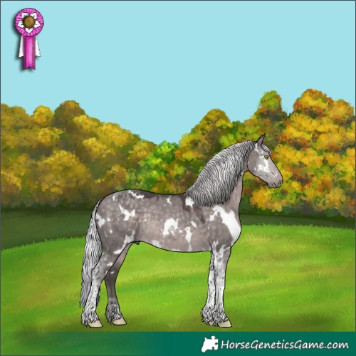 Horse Color:Platinum White Spotted Silver Brown Dun Tobiano 