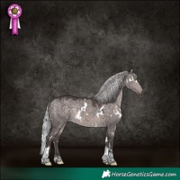 Horse Color:Platinum White Spotted Silver Brown Dun Tobiano