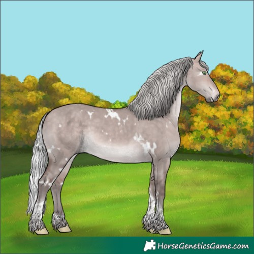 Horse Color:Platinum White Spotted Silver Bay Dun Tobiano