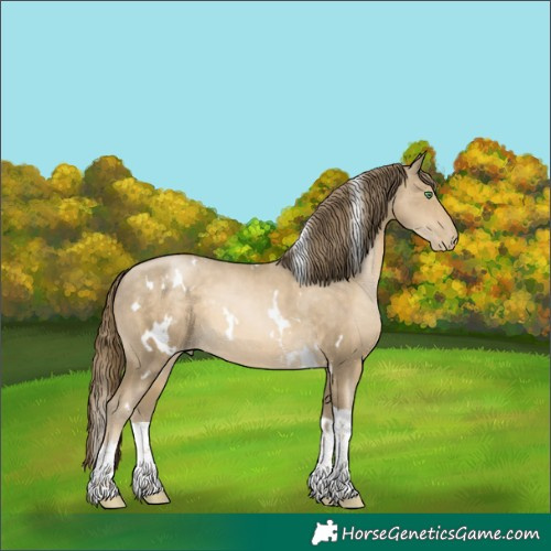 Horse Color:White Spotted Smoky Black Pearl Tobiano 