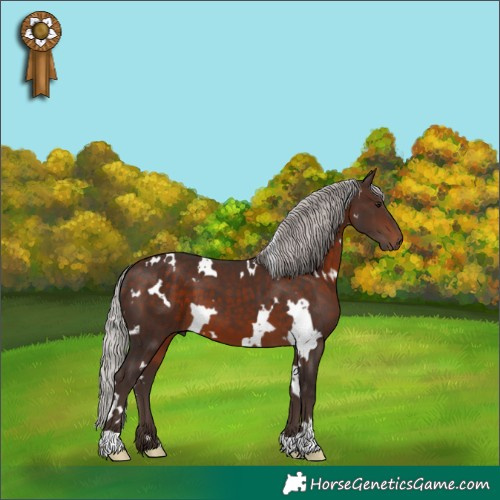 Horse Color:White Spotted Silver Brown 