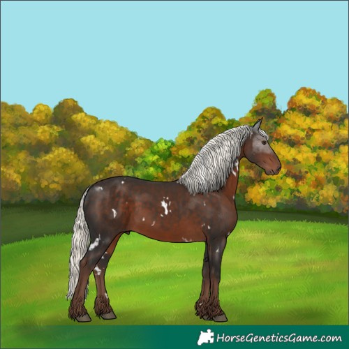 Horse Color:White Spotted Liver Chestnut Mushroom