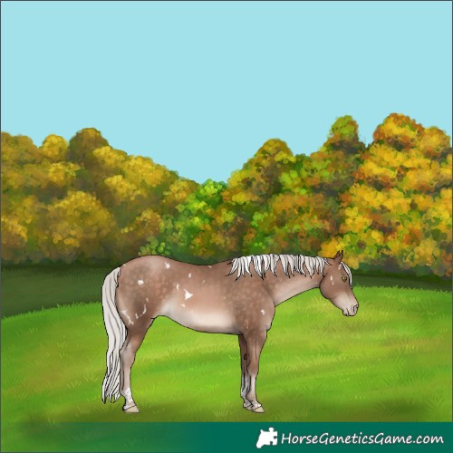 Horse Color:White Spotted Silver Brown Pearl Mushroom Tobiano 