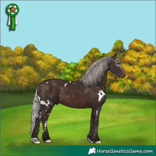 Horse Color:White Spotted Silver Brown