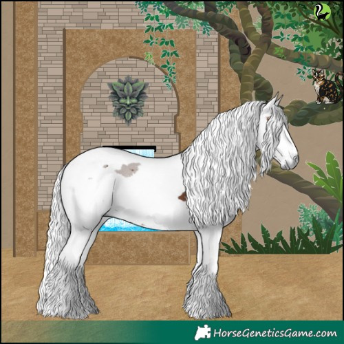 Horse Color:Bay Merle Tobiano