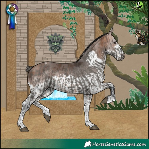 Horse Color:Grullo Tobiano and Bay Merle Splash Tobiano