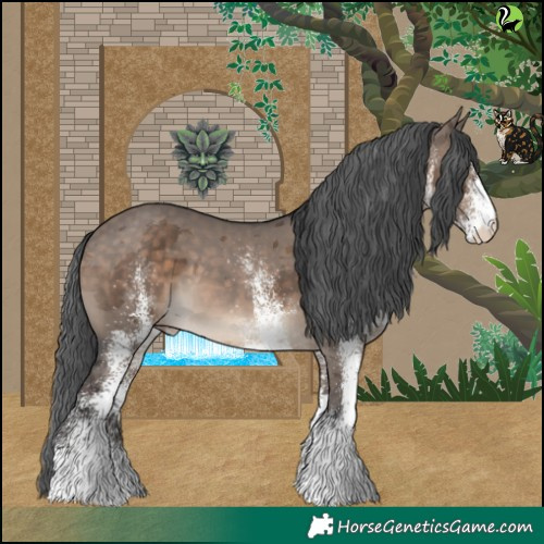 Horse Color:White Spotted Brown Dun Merle Appaloosa