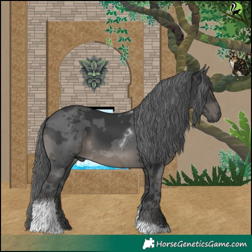 Horse Color:Black Merle Tobiano 