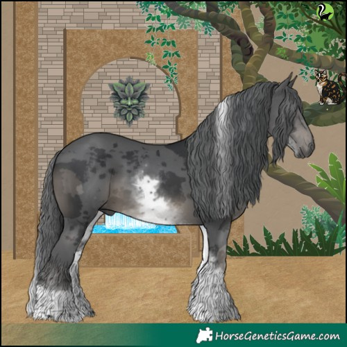 Horse Color:White Spotted Black Merle Tobiano 