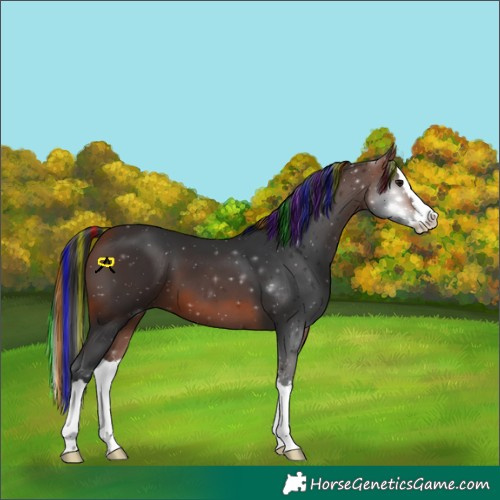 Horse Color:Painted Bay Splash 