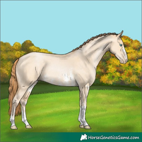 Horse Color:Buckskin Pearl Dun Sabino 