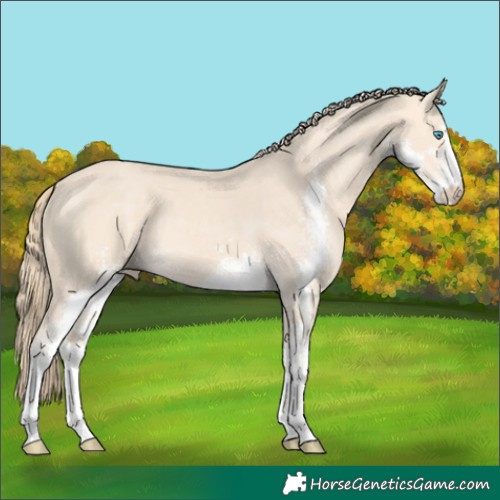 Horse Color:Perlino Sabino