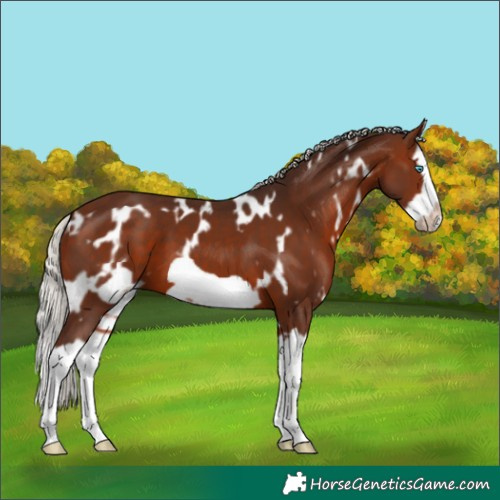 Horse Color:White Spotted Silver Brown Splash Frame