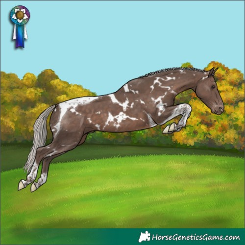 Horse Color:White Spotted Silver Black Tobiano Varnish