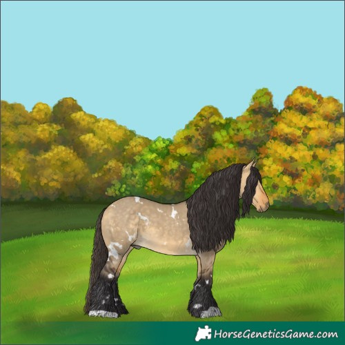Horse Color:White Spotted Buckskin Dun 