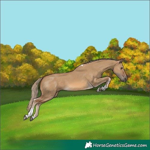 Horse Color:Chocolate Palomino Dun Tobiano 