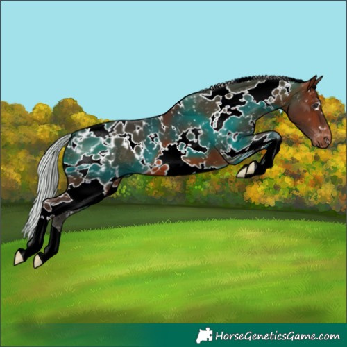 Horse Color:White Spotted Silver Brown Snowflake Varnish