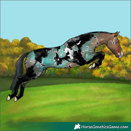 Horse Color:White Spotted Bay Dun Tobiano 