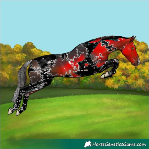 Horse Color:White Spotted Bay Tobiano 