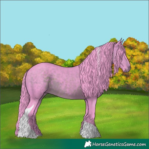 Horse Color:Watercolor Brown Tobiano