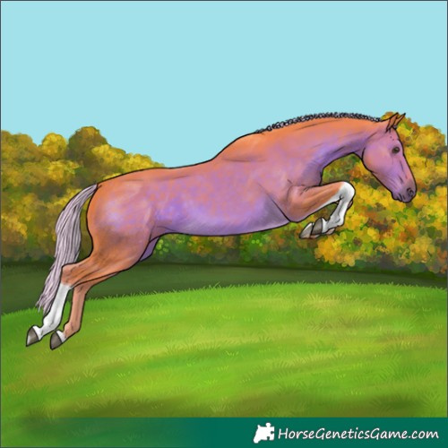 Horse Color:Watercolor Chocolate Palomino Tobiano 