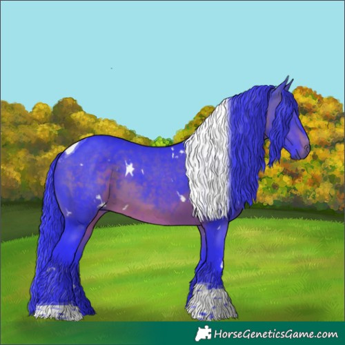 Horse Color:Watercolor White Spotted Brown Tobiano Rabicano